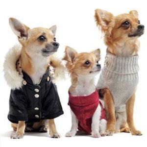 Ropa para perros