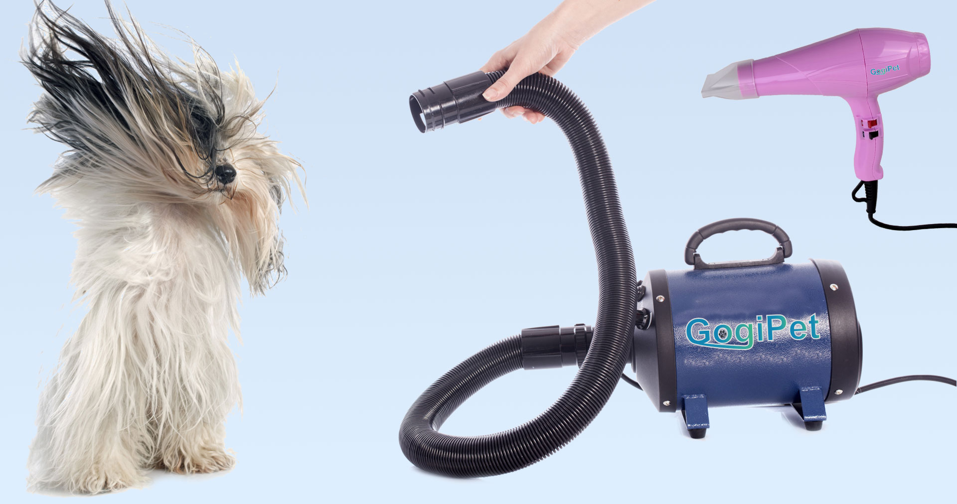 5 TRUCOS PROFESIONALES! 🔥🔥 Cómo secar el pelo de un perro con SECADOR en  la PELUQUERÍA CANINA 