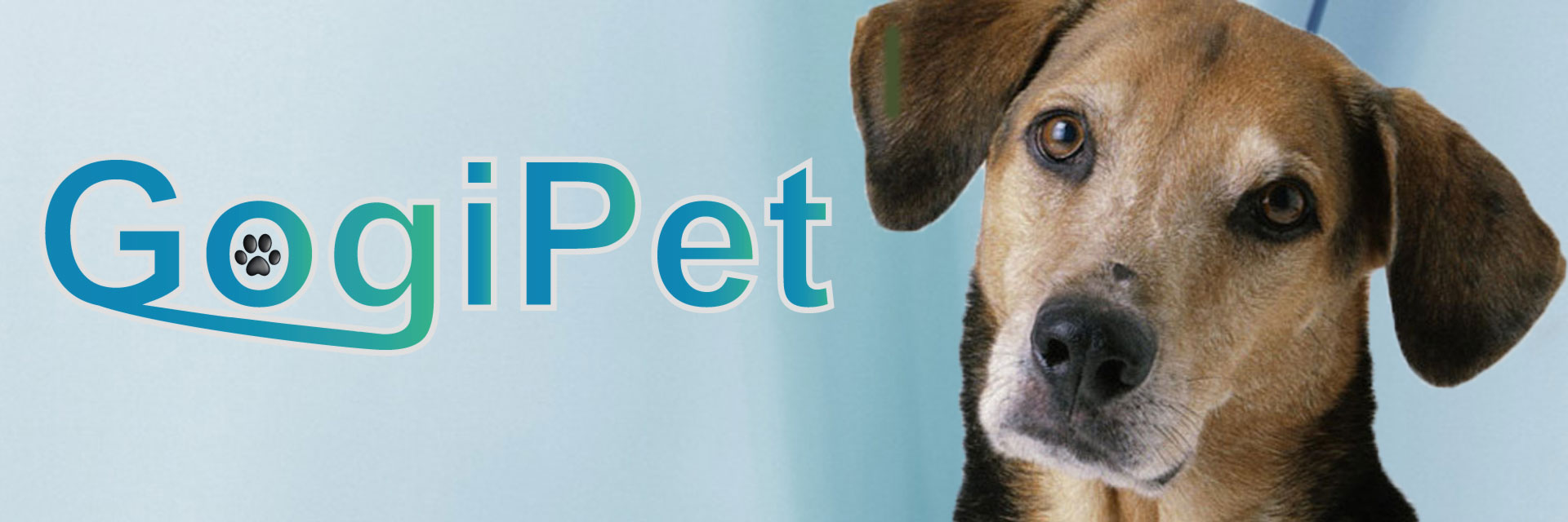 GogiPet el profesional para perros, gatos y artículos de peluquería canina